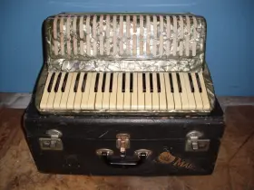 13167 Ballerina /bachenbulach Vintage Tell 120 Bass 41 Keys Made In Switzerland Accordion