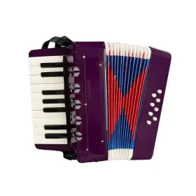 Boriyam 618202569920 Accordion 17 Keys 8 Bass Toys For Children And Adult Beginners Ins