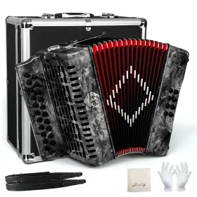 Chehery 763559510382 Accordion 21 Keys 8 Bass Adult Push-pull Heterophonic B/c Tone