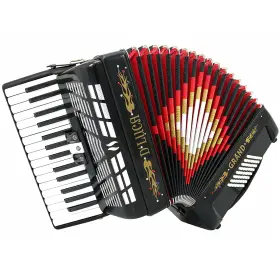 D3048-bk Dluca Dftluca Grand Piano Accordion 3 Switches 30 Keys 48 Bass Case And Straps Black