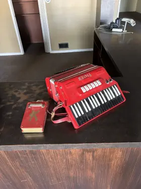 Fr4x Hohner Tiger Accordion