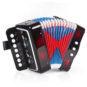 Mi3947 Horse Kids Accordion 10 Keys Control Button Musical Black