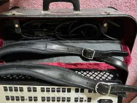 29285 Iorio Acorgan Electronic Accordion Generator Amplifier And Access Pedals/wires