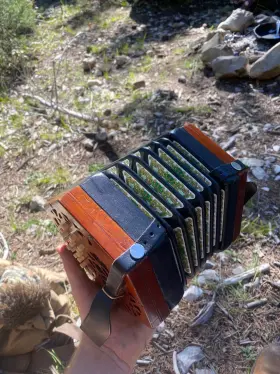 Lachenal Ap1230a 30 Button C/g Anglo Concertina Fully Restored By Barleycorn New Bellows