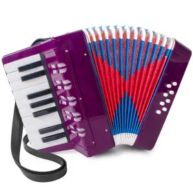 Lotkey 764003444031 Accordion 17 Keys Piano For Kids 8 Bass With Straps Beginners