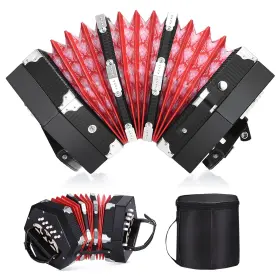 Riva003054250411 Rivvta Concertinas 20 Key Professional Accordion Musical Instruments Accessories W