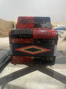 3112-fbe-rbk Rossetti 3112 Fbe 31 Button Diatonic Accordion - Black/red With Straps Hard Case