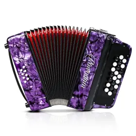 Rowadtim 726852970666 Accordion 22 Key 8 Bass - Ideal Instrument For Beginners And Students