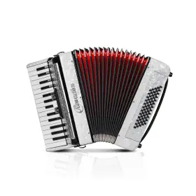 M1-91-2 Rowadtim Accordion 30 Key 60 Bass Adult Keyboard Edu