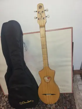 042524 Seagull Spruce Acoustic Merlin Dulcimer Natural With Case