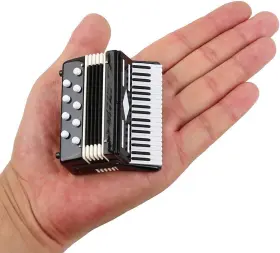 Seawoo 711181377354 Dselvgvu Miniature Accordion With Case Mini Musical Instrument Replica