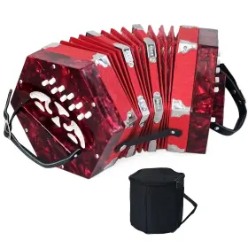 Gs-1v2d-cny7 Tianchunyue Concertinas 20 Buttons Accordion For Adults Professional Beginn