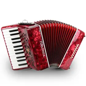 Yingwu 763559510627 Accordion 25 Key 16 Bass - Professional Student For Beginners And Adu
