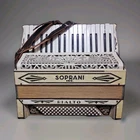 Soprani Inc. Rialto White Piano Accordion 41 TREBLE/120 Bass, Register Used. Price: $235.00.