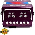 Musicube Kids Accordion Toy 10 Keys Button Purple New. Price: $39.99.
