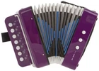 D'luca Child Button Accordion Purple New. Price: $49.99.
