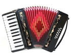 Rossetti Keys Bass Buttons 2512 Piano Accordion - Black + Case, Strap New. Price: $619.99.